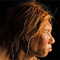 Nghiên cứu mới: Người hiện đại và người Neanderthal đã từng 