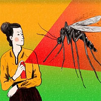 Nghiên cứu mới: Phát hiện lý do muỗi thích đốt vào da người
