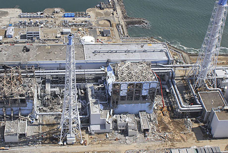 Nghiên cứu sinh vật quanh nhà máy điện Fukushima I