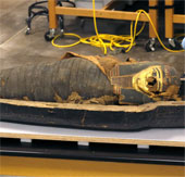Nghiên cứu xác ướp 2.500 năm của cậu bé 14 tuổi