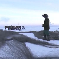 Ngư dân bắt 1,5 triệu kg cá dưới hồ Chagan đóng băng