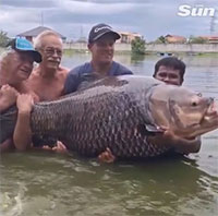Người đàn ông câu được cá chép khổng lồ nặng hơn 114kg