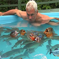 Người đàn ông liều lĩnh nhảy xuống bể nước đầy cá Piranha và kết cục đầy bất ngờ!