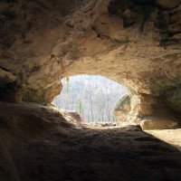 Người Neanderthal và người Sapiens không gặp nhau ở hang Vindia, Croatia