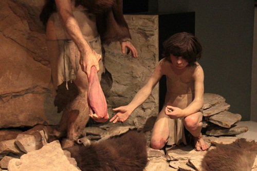 Nguyên nhân khiến người Neanderthal tuyệt chủng