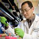 Nhà khoa học Nhật Bản và câu chuyện tế bào gốc