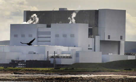 Nhà máy hạt nhân Anh đóng cửa vì sứa