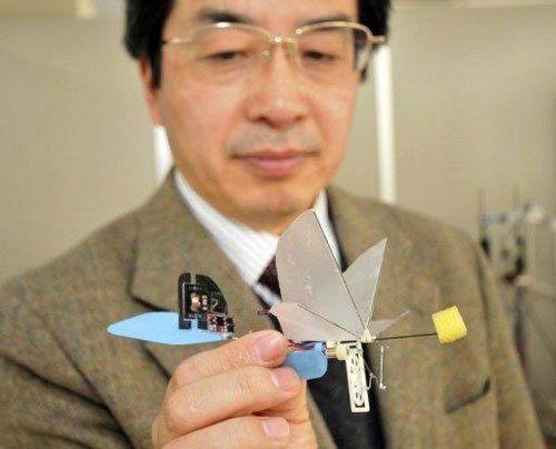 Nhật Bản giới thiệu 'robot chim ruồi'
