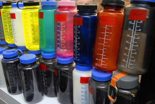 Nhiễm BPA gây ảnh hưởng đến nhiều thế hệ