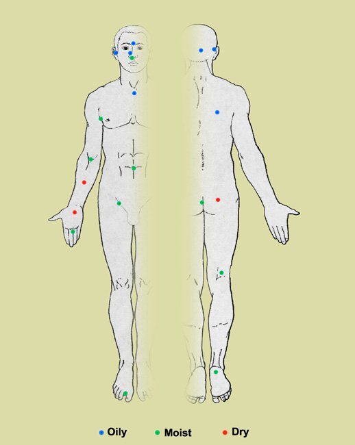 Nhiều loại vi khuẩn được tìm thấy trên da