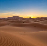 Nhiều người đề xuất phủ xanh sa mạc, chuyên gia cho hay: Nếu làm như vậy, loài người sẽ vô cùng hối hận!