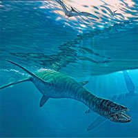 Những con thằn lằn cổ rắn thời tiền sử có khả năng lặn tương tự với cá nhà táng hiện đại