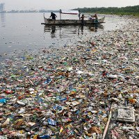 Những người thích hải sản đang ăn hàng ngàn mảnh nhựa mỗi năm?
