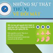 Những sự thật thú vị về mắt