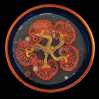 Những tác phẩm nghệ thuật vẽ bằng vi khuẩn