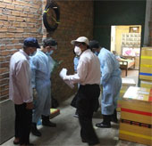 Ninh Thuận công bố dịch H5N1 trên đàn yến