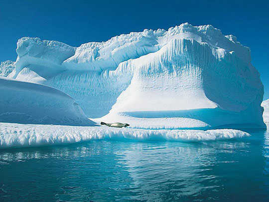NOAA: Sự biến đổi khí hậu tại Bắc Cực là tất yếu