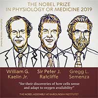 Nobel Y Sinh 2019 cho nghiên cứu phản ứng của tế bào khi oxy thay đổi