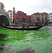 Nước tại kênh đào Venice bất ngờ chuyển màu xanh lá