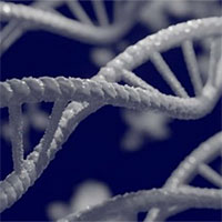 Phát hiện 155 gene mới liên quan sự tiến hóa của loài người