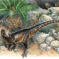 Phát hiện 6 loài khủng long cùng hơn 500 loài mới trong năm 2021