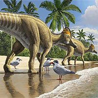 Phát hiện bằng chứng cho thấy khủng long đã đi khắp các đại dương
