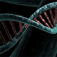 Phát hiện biến thể gene có khả năng chống lại Covid-19
