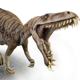 Phát hiện cá thể khủng long sâu răng đầu tiên