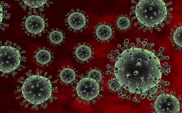 Phát hiện các chủng virus H5N1 bằng 1 xét nghiệm