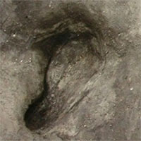 Phát hiện dấu chân tiết lộ cuộc sống con người cách đây 300.000 năm
