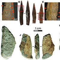 Phát hiện đầu mũi tên 48.000 năm tuổi bằng xương động vật