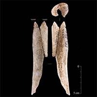 Phát hiện đồ trang trí bằng xương người 8.000 năm tuổi từ người tiền sử