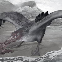 Phát hiện hải âu quái vật sát thủ như thằn lằn bay và có thể tái sinh