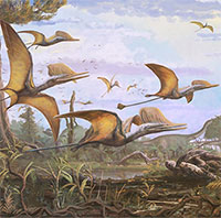 Phát hiện hóa thạch giúp tìm hiểu về lịch sử tiến hóa của loài thằn lằn bay