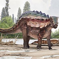 Phát hiện hóa thạch khủng long bọc giáp đầu gai ở Mỹ