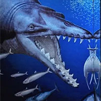 Phát hiện hóa thạch loài cá voi 36 triệu năm tuổi ở hoang mạc Peru