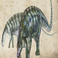 Phát hiện hóa thạch “rồng kì diệu” ở Trung Quốc