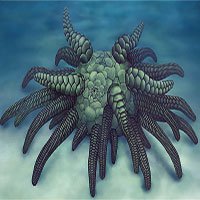Phát hiện hoá thạch sinh vật biển cổ đại hoàn toàn mới