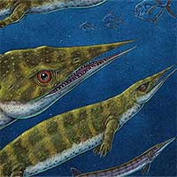 Phát hiện hóa thạch thằn lằn biển 200 triệu năm tuổi