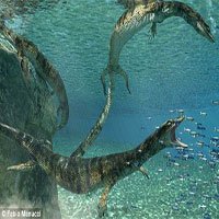 Phát hiện hóa thạch thằn lằn biển 75 triệu năm