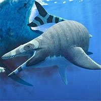 Phát hiện hóa thạch thương long có bộ răng giống cá mập