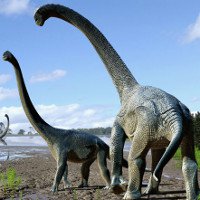 Phát hiện khủng long ăn cỏ mới ở Úc dài 15 mét, nặng gần 20 tấn
