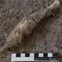 Phát hiện kinh ngạc từ mảnh chân cừu 1.600 năm tuổi