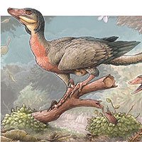 Phát hiện loài khủng long ăn thịt giống chim mới
