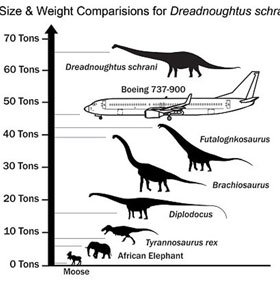 Phát hiện loài khủng long dài 26m, nặng 65 tấn