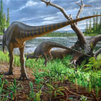 Phát hiện loài khủng long nhỏ bằng gà tây ở Australia