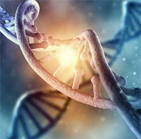 Phát hiện mới về DNA của con người