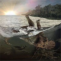 Phát hiện “nghĩa địa khủng long” lớn nhất ở Mỹ