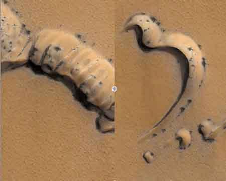 Phát hiện nhện tắm nắng trên sao Hỏa