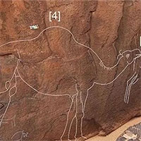 Phát hiện những bức chạm lạc đà bí ẩn trên đá